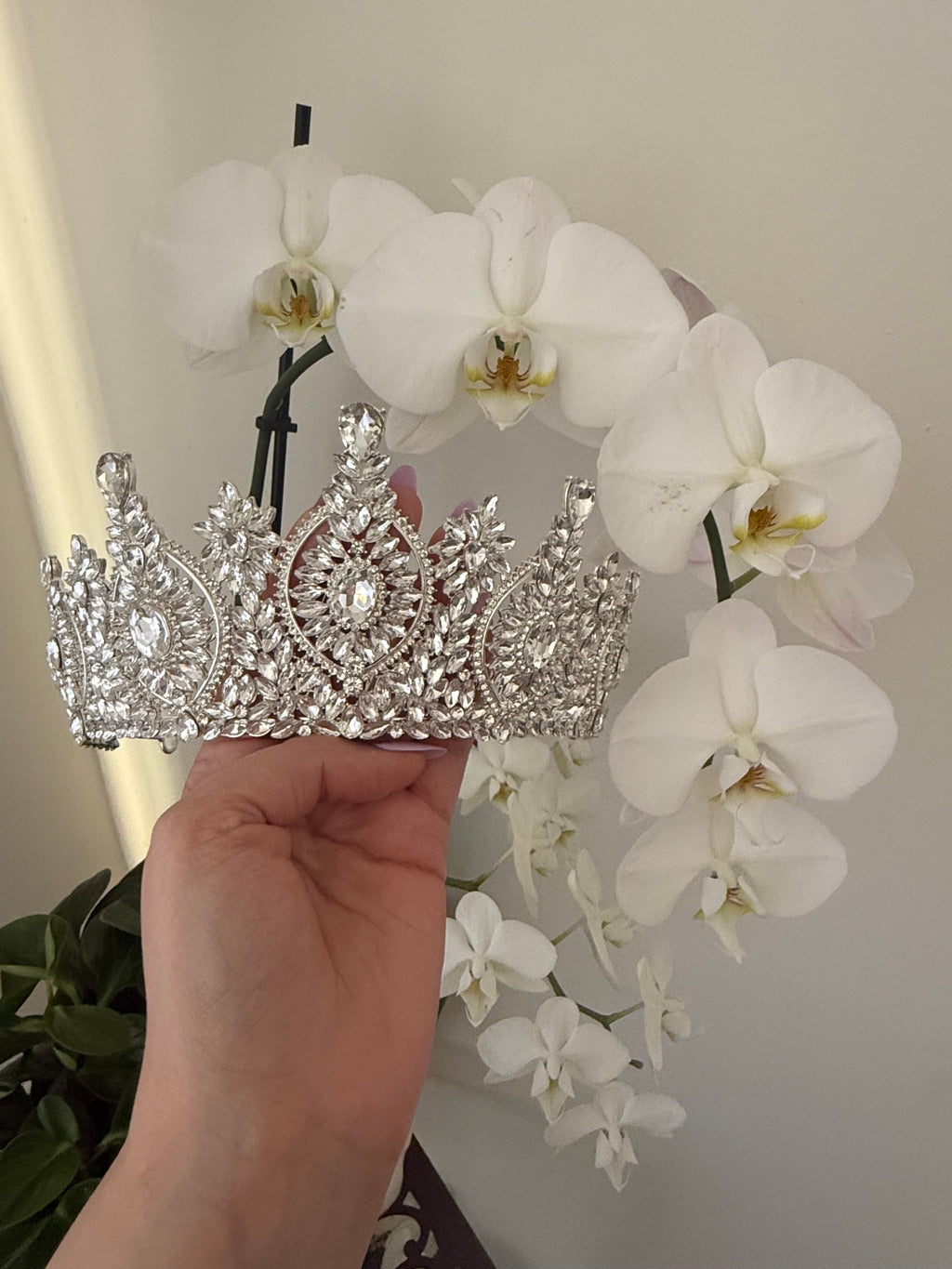 LC26031 | White Silver VI