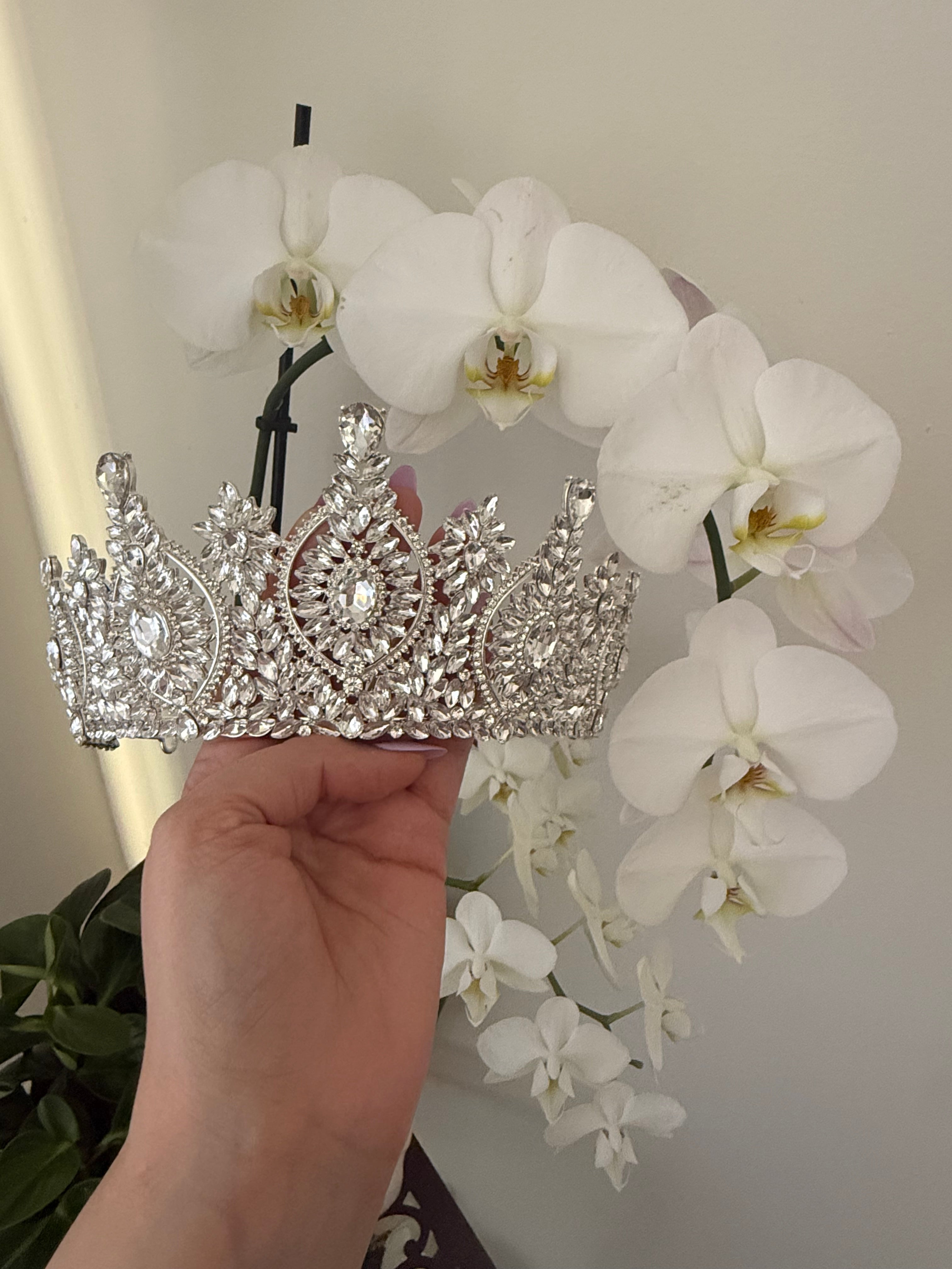 LC26031 | White Silver VI