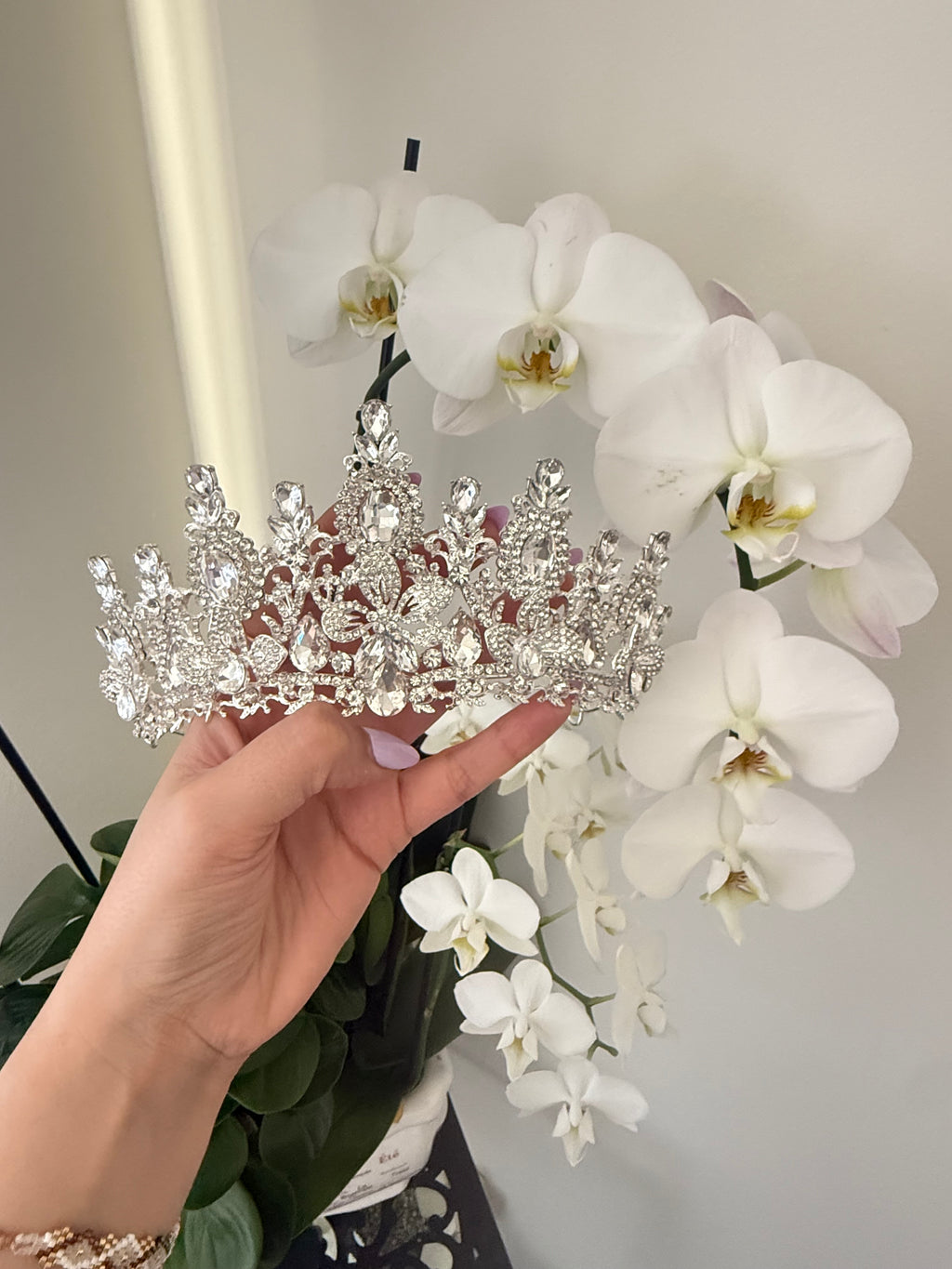 LC26006 | SILVER II