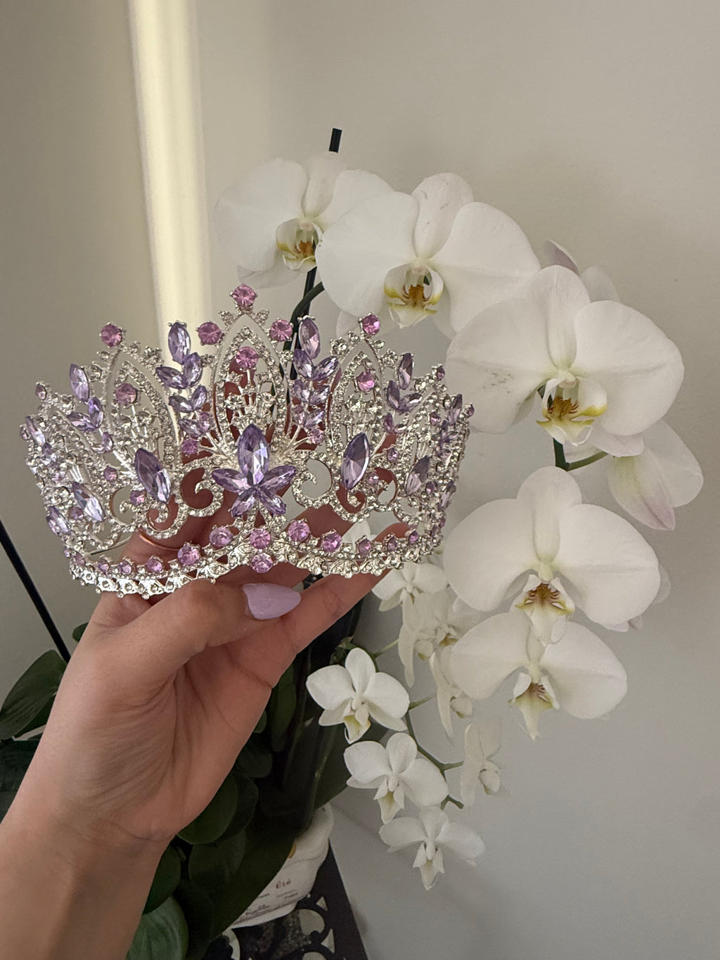 LC26032 | Silver Lilac