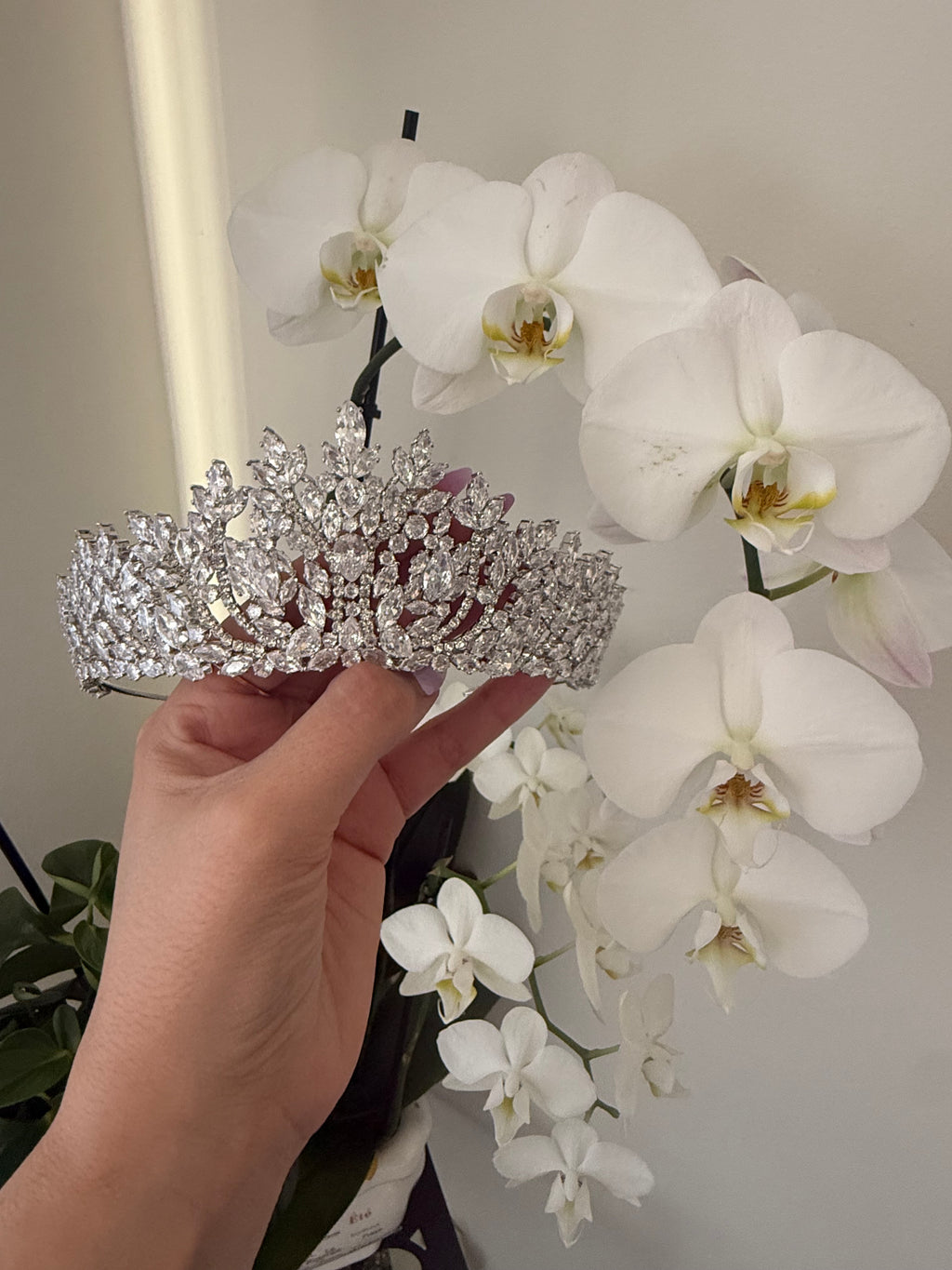LC26007 | ZIRCONIA SILVER III